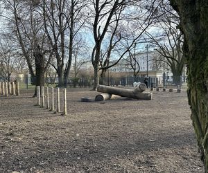 Psi park w Parku Staromiejskim w Łodzi