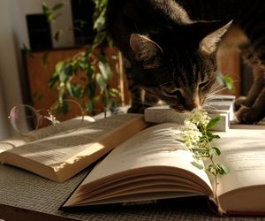 Życzenia imieninowe i urodzinowe dla męża. Ciepłe i romantyczne słowa od żony