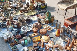 Wiosenne targi staroci w Rzeszowie [GALERIA]