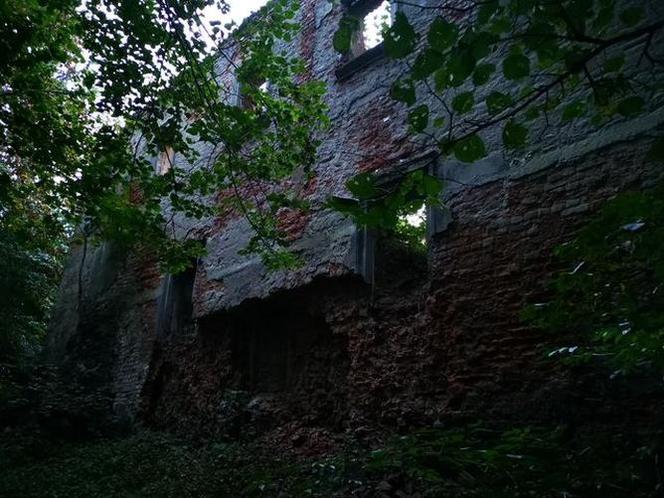MROCZNY dwór w Małopolsce. TAJEMNICZE ruiny zamieszkują duchy? Sprawdź [ZDJĘCIA]