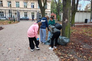Akcja ratowania siedleckich kasztanowców w Aleksandrii potrwa przez kilka dni, do piątku 18 października włącznie.