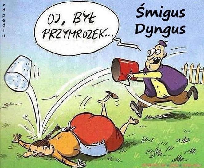 Lany Poniedziałek 2022 - śmieszne gify i obrazki