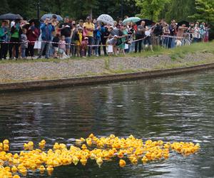 Tłumy na Wyspie Młyńskiej. Tak wyglądał Ster na Bydgoszcz 2023 