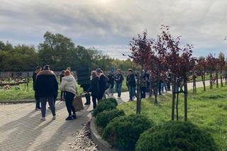 Światełko Pamięci