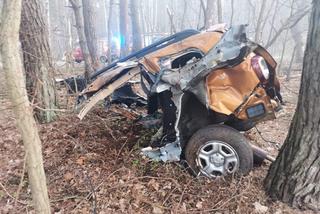 Groźny wypadek pod Białobrzegami - Kierowcę w ciężkim stanie przewieziono do szpitala [FOTO]