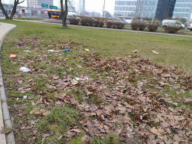 Park Zachodni tonie w śmieciach. Dzielnica zapowiada dodatkowe sprzątanie