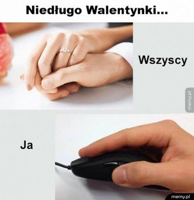 Memy na walentynki. Święto zakochanych czy dzień singli? 