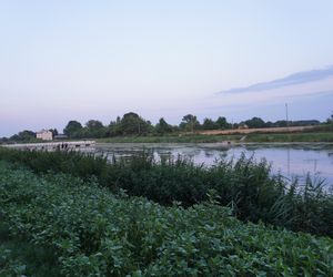Park w gminie Mełgiew