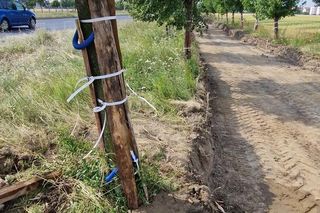 Budowa ścieżki rowerowej wzdłuż Alei Konstytucji 3 Maja