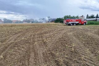 Duże straty po pożarze stodoły w Krzepielowie niedaleko Sławy [ZDJĘCIA]