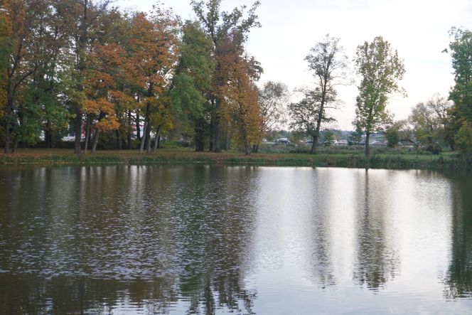 Park Lubomirskich w Białymstoku jesienią 