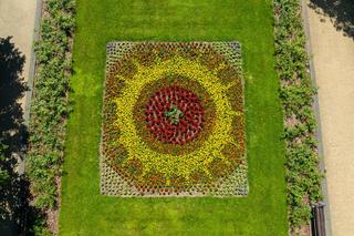 W tym małopolskim uzdrowisku leczą głównie dzieci. To jedyne takie miejsce w Polsce 