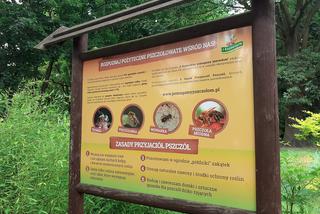 Ogród Zoobotaniczny latem