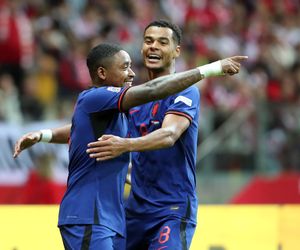 Cody Gakpo - gwiazda Holandii