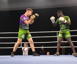 Walczyli dla Krystiana. Charytatywna gala boksu Hero Boxing Fighters 3 „Jungle”