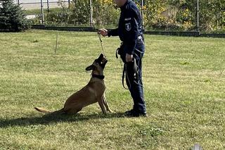 służba i pasja mogą iść w parze