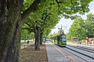 Czas wakacji! Jakie zmiany czekają nas w komunikacji miejskiej? 