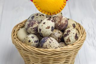 Ozdoby wielkanocne z filcu: ptaszki