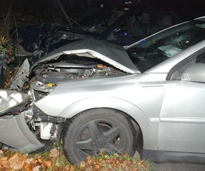 Gdańsk. Wypadek na Powstańców Warszawskich. Nietrzeźwą 19-latkę zatrzymała policja [ZDJĘCIA].