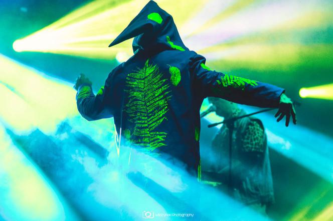 Last Minute Summer Festival 2020. Zobacz zdjęcia z koncertów [GALERIA]