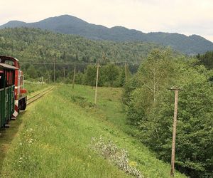 Bieszczadzka Kolejka Leśna. To punkt obowiązkowy dla każdego turysty