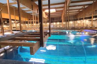 Jak zbudowano łódzkie Orientarium