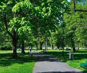 Park im. Henryka Jordana w Krakowie
