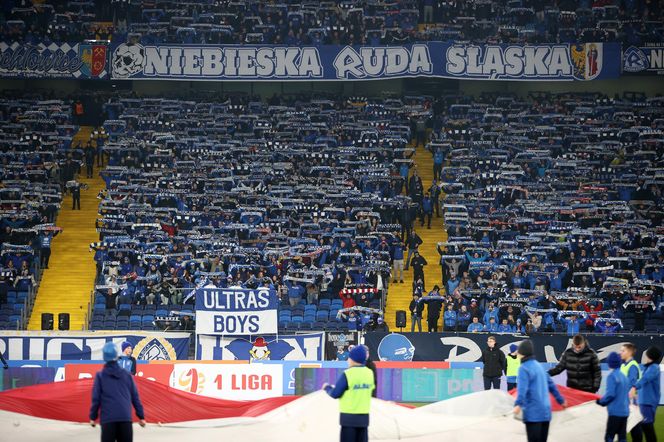 Ruch Chorzów zremisował z Bruk-Bet Termalicą Nieciecza na Stadionie Śląskim. Co to były za emocje! ZDJĘCIA