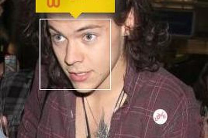 Na ile lat wygląda Harry Styles?