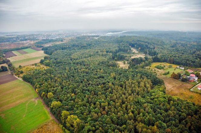 Najlepsze miejsca na jesienne wypady w Śląskiem