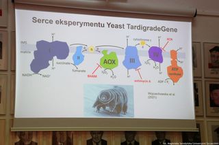 Konferencja dotycząca eksperymentu Yeast TardigradeGene