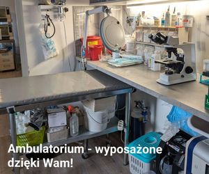 Wrocławska Ekostraż apeluje o pomoc. Sypiemy się 