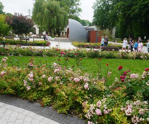 Park Zdrojowy w Busku