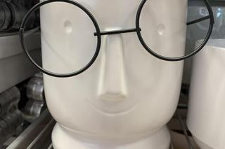 Piękne doniczki. Co znajdziemy w znanych sklepach?