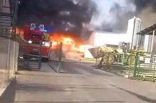 Pożar pod Stargardem