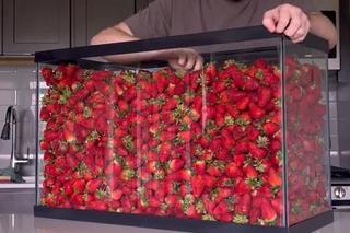 Tiktoker je truskawki 