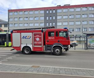  Olsztyn. Format - Śmierć na torach. Tramwaj potrącił rowerzystkę! Poważne utrudnienia.