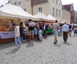 Dni Olsztyna 2025. Dziesiątki wystawców i setki olsztynian na Jarmarku Jakubowym