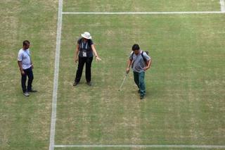 Mundial 2014. Sceny jak w PRL! Brazylijczycy malują trawę na mecz Anglia - Włochy