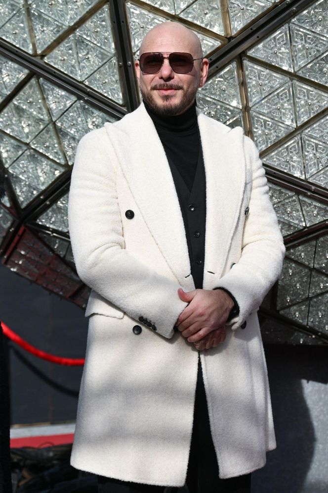 Pitbull ma bardzo charakterystyczny wizerunek