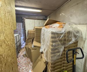 Nielegalna fabryka papierosów zlikwidowana! Milion papierosów w kartonach po pizzy