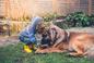 8 historii zwykłych psów, które uratowały dzieciom życie - to najlepsi opiekunowie