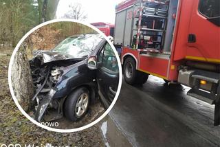 Dąbrówka Nowa. Samochód roztrzaskał się na drzewie! 2 osoby trafiły do szpitala [ZDJĘCIA]