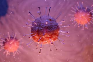 Europę czeka NOWA epidemia?! Alert sanitarny ogłoszono już w pierwszym miejscu