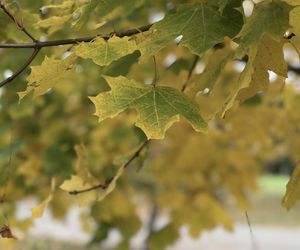 Jesień w Polsce 2025