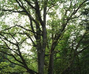 To największy kompleks leśny na Mazurach. Co krok pojawiają się malownicze jeziora