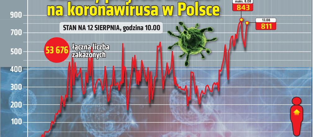 Koronawirus w Polsce. Statystyki, wykresy, grafiki (13 sierpnia)