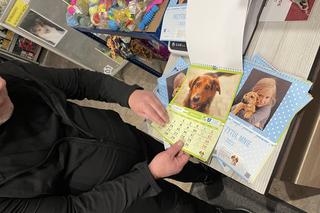 Charytatywne kalendarze dla schroniska dla zwierząt w Nowym Sączu