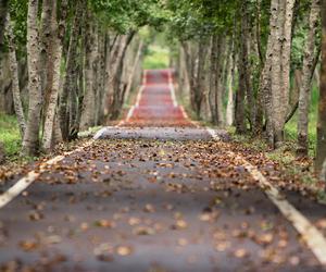 Jesień kalendarzowa a astronomiczna. Data rozpoczęcia w tym roku wyjątkiem!