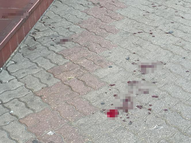 Atak nożownika na Pradze! Dwie osoby ranne, trwa obława